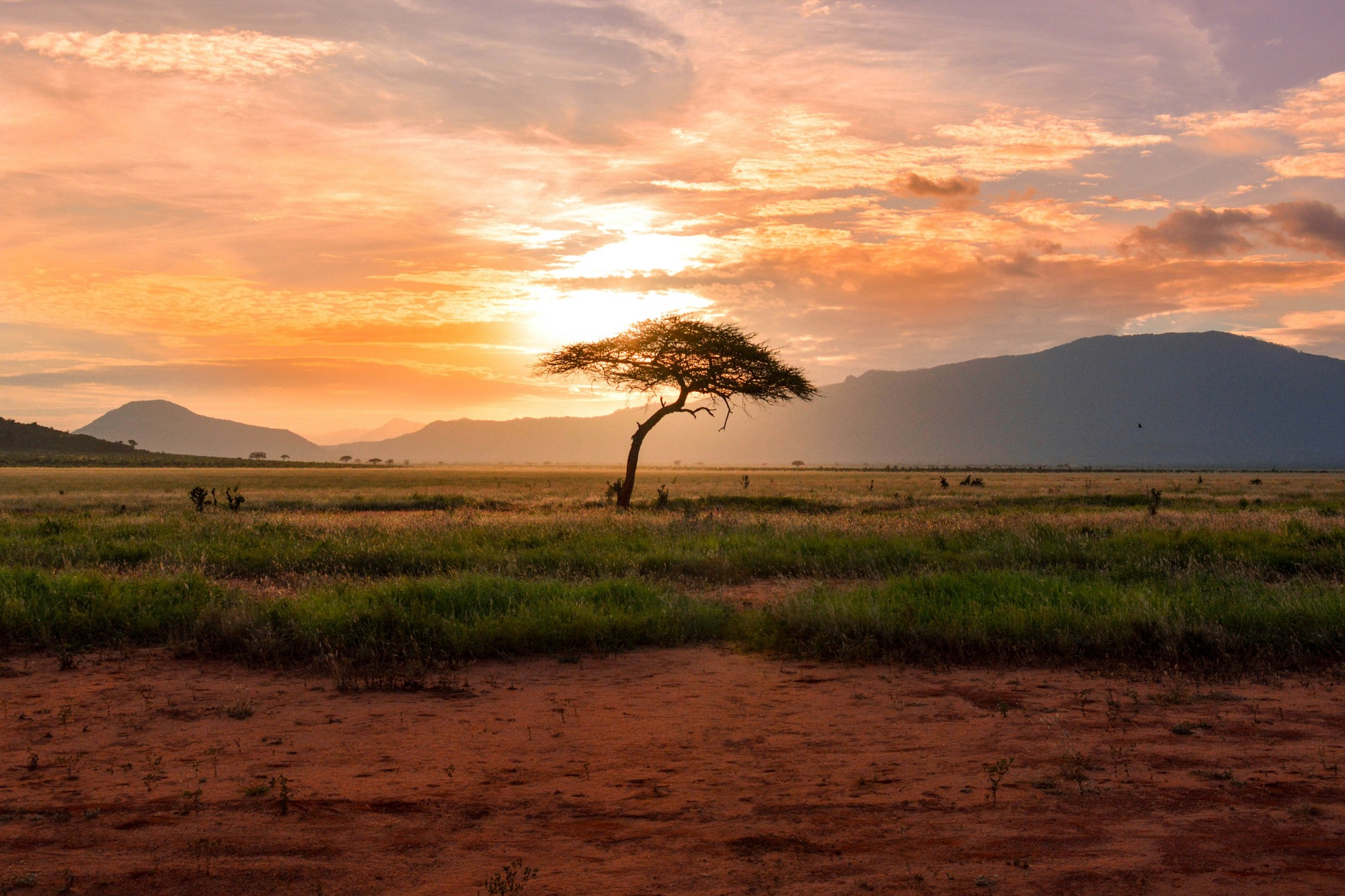 A quiet African landscape beneath the warm colors of sunset